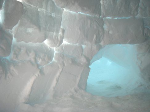 Igloo blocks.png