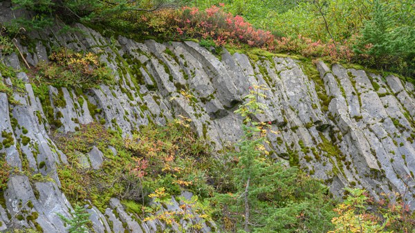 01 - Columnar Basalt-Lake Anne Trail-Mount Baker-7588.jpg