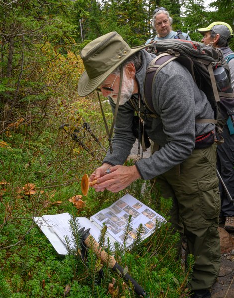 06 - Stewart & Mushrooms-Lake Anne Trail-Mount Baker Wilderness-7649.jpg