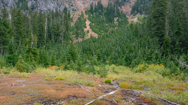 07 - Slide Area-Lake Anne Trail-Mount Baker Wilderness-7753.jpg