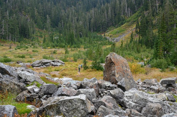 09 - Along Swift Creek-Lake Anne Trail-Mount Baker Wilderness-7754.jpg