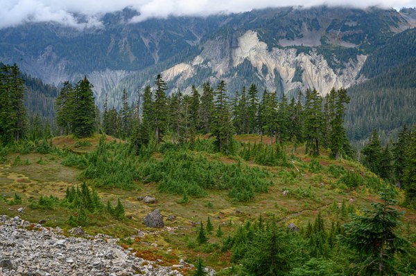 10 - Kulshan Caldera-Lake Anne Trail-Mount Baker Wilderness-7676.jpg