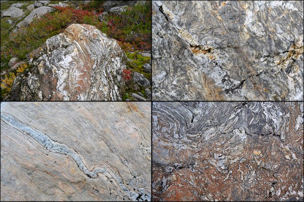 11 - Banded Chert-Lake Anne Trail-Mount Baker Wilderness-.jpg