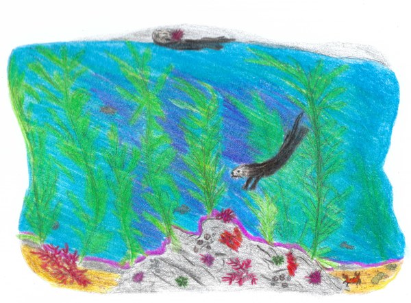 18. Sea Otters of Hope - Fia De La O.jpeg