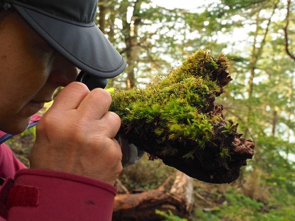 2021 Renee Lenti using a loupe to study a moss.jpg