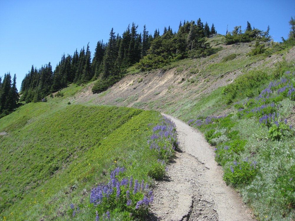 Hurricane Hill Hurricane Hill