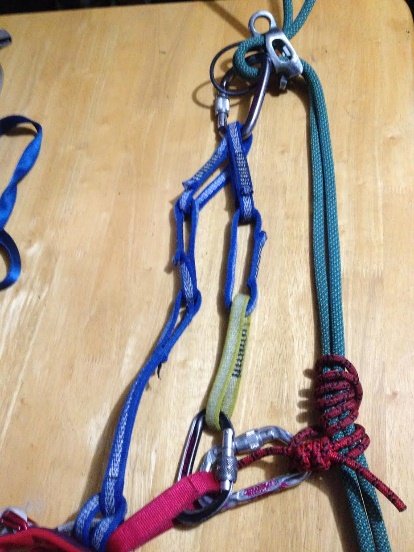 Metolious PAS - Abby Hunt