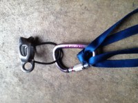 Position the carabiner used with your rappel device 