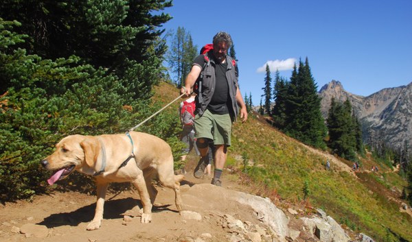 A lab on a hike on Maple Loop Pass. Photo by Tom O'Keefe.  2.jpg