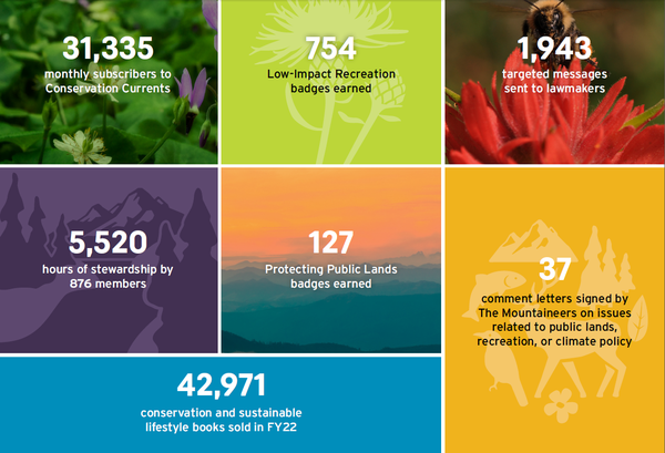 Advocate 2022 Stats.png