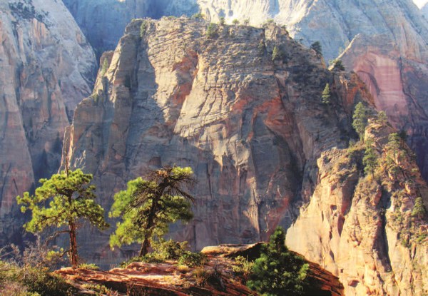 Angels Landing viewed from the West Rim Trail above Scout Landing p 84.jpg