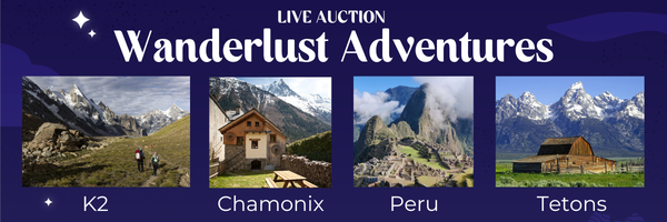 Auction Preview - Wanderlust Live.png