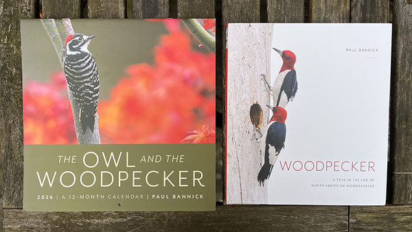 b511406c-9fde-97aa-6f2f-7daf7458ac12.png b511406c-9fde-97aa-6f2f-7daf7458ac12.png