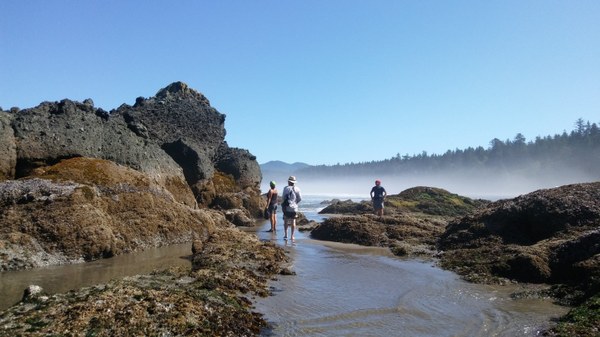 Beachgoers checking out the tide pools and sea stacks at Point of Arches.jpg