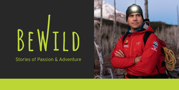 bewild.png bewild.png