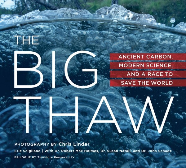 Big Thaw Book