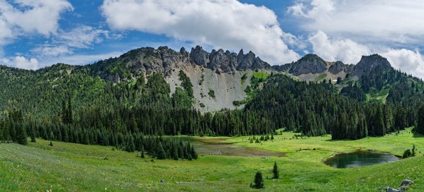 Cirque from Governor's Ridge-Owyhigh Trail-Mount Rainier-.jpg