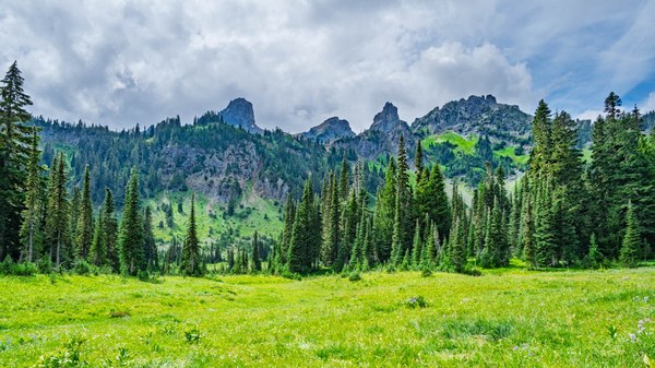 Cowlitz Chimneys-Owyhigh Trail-Mount Rainier-0278.jpg