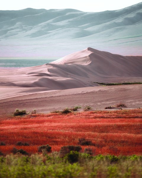 Dramatic Dunes (1).jpg