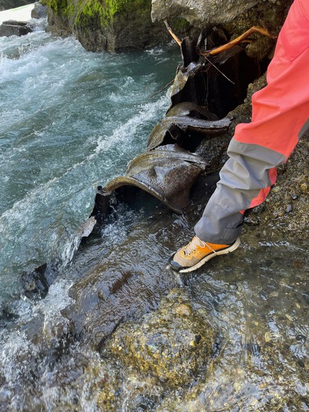 elwha.jpg