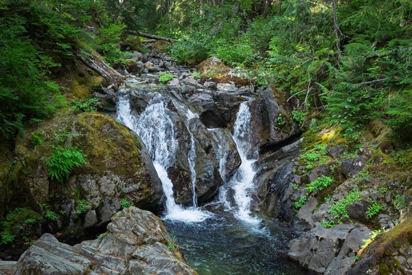 Falls on Chinook Creek-Owyhigh Trail-Mount Rainier-0408.jpg