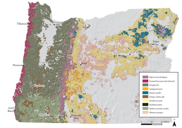 ForestTypesMap (Map by Erik Fernandez, Oregon Wild).jpg