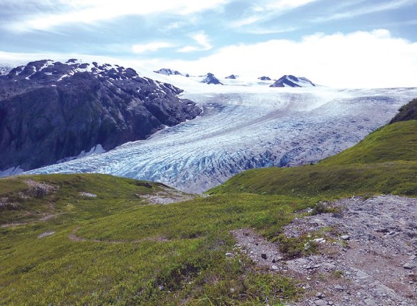Harding Icefield 'Exit Glacier spills from Harding Icefield, which is just visible on the horizon'.JPG