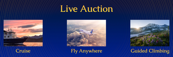Live Auction Preview Banner.png