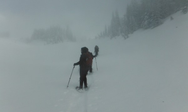 Mike McIntosh  (5).JPG