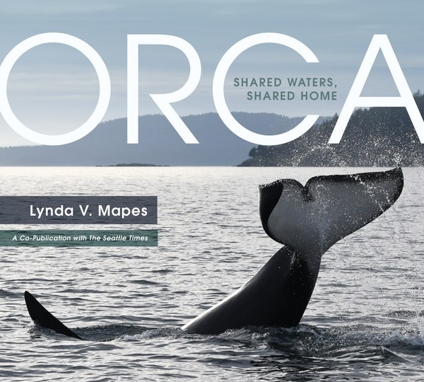 Orca Book Cover.jpg