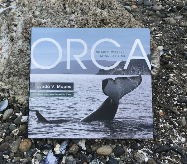 orca-cover.png