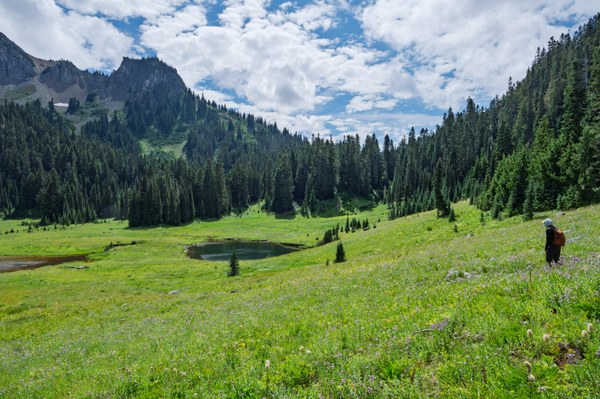 Owyhigh Lake-Owyhigh Trail-Mount Rainier-0111.jpg
