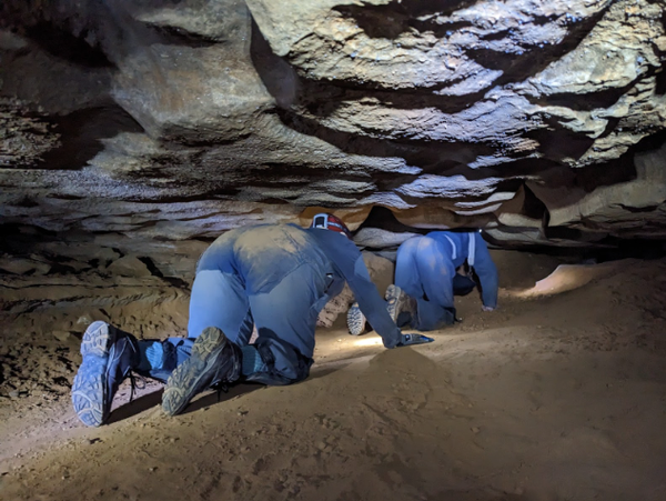 Wild Cave Tour