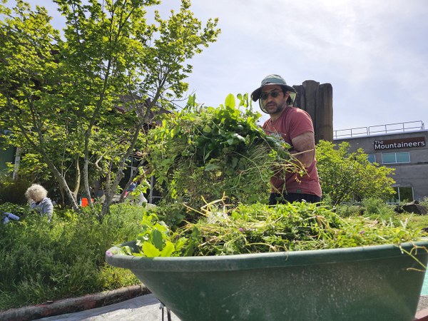 Seattle Program Center Stewardship Activity - 2025. Photo by Mountaineers staff..jpg Seattle Program Center Stewardship Activity - 2025. Photo by Mountaineers staff..jpg