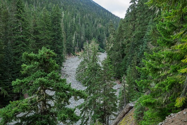 Shaw Creek-Owyhigh Trail-Mount Rainier-0010.jpg