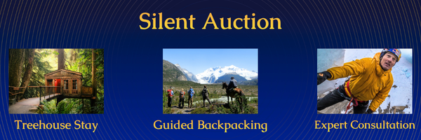 Silent Auction Preview Banner.png