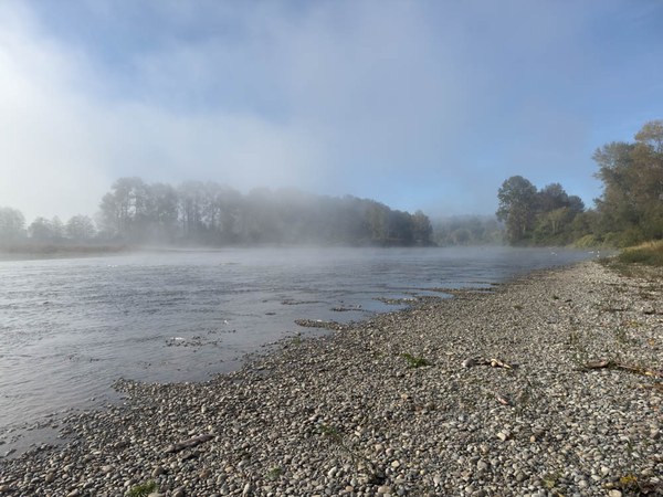 Snohomish River 2-Heirman Wildlife Area-Snohomish County-4269.jpg