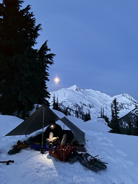 snowking.jpeg