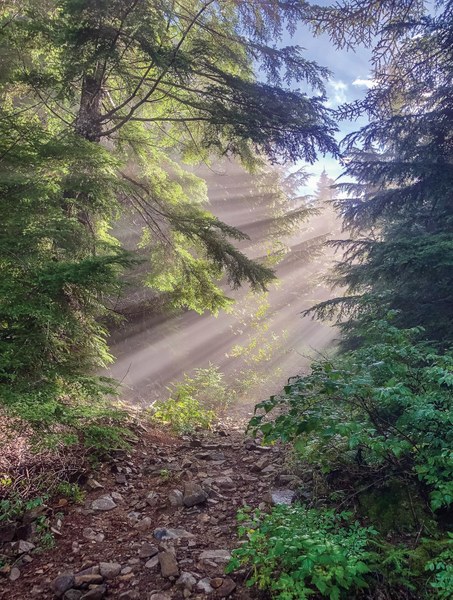 Sun rays on fog on Teneriffe Peak. Photo by Courtenay Schurman. (1).jpg
