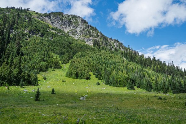 Tamanos Mountain-Owyhigh Trail-Mount Rainier-0132.jpg