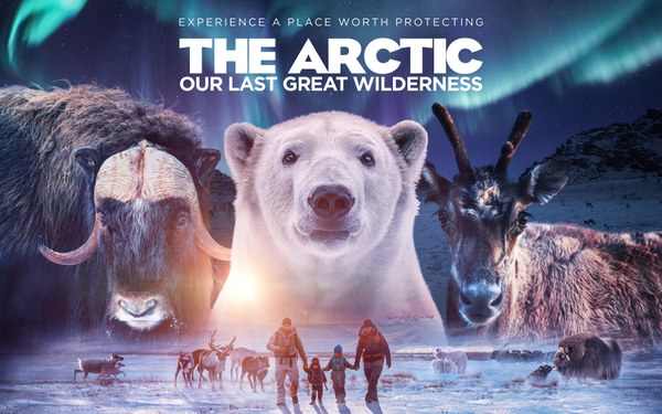 The Arctic - Our Last Great Wilderness film graphic..jpg
