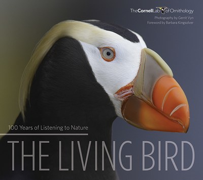 TheLivingBird_magazine-blog.jpg