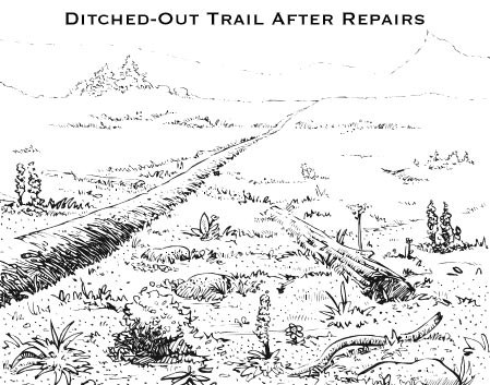 Trail-after-repair.jpg