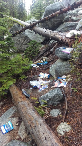 Wildlife got into a garbage bag near Colchuck. Photo by Colin Foster..jpg