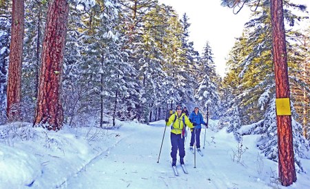 Join Us for Winter Trails Weekend in the Methow - Jan 3-6, 2020