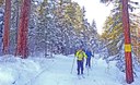 Join Us for Winter Trails Weekend in the Methow - Jan 3-6, 2020