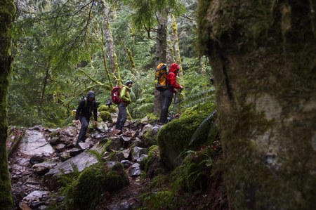 Leave No Trace Tips for New Hikers