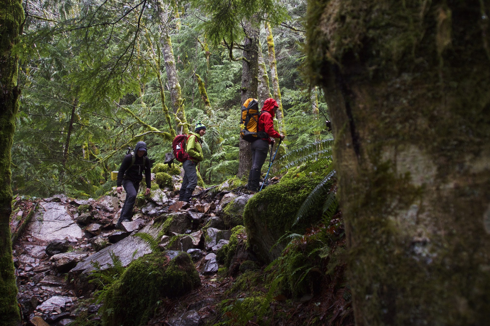 Leave No Trace Tips for New Hikers — The Mountaineers