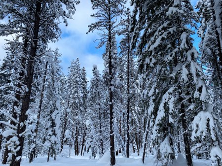 Make the most of winter by visiting Washington Sno-parks