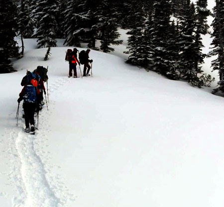 Mazama Ridge, Mount Rainier - Assist Given to Lost Snowshoers 
